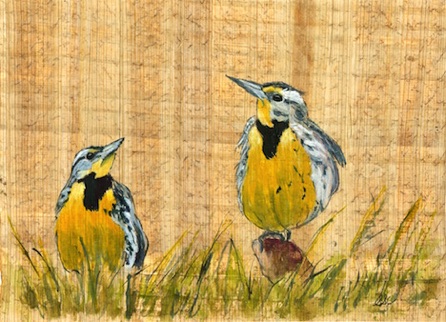 2 Meadowlarks
Watercolor - 7"x10"